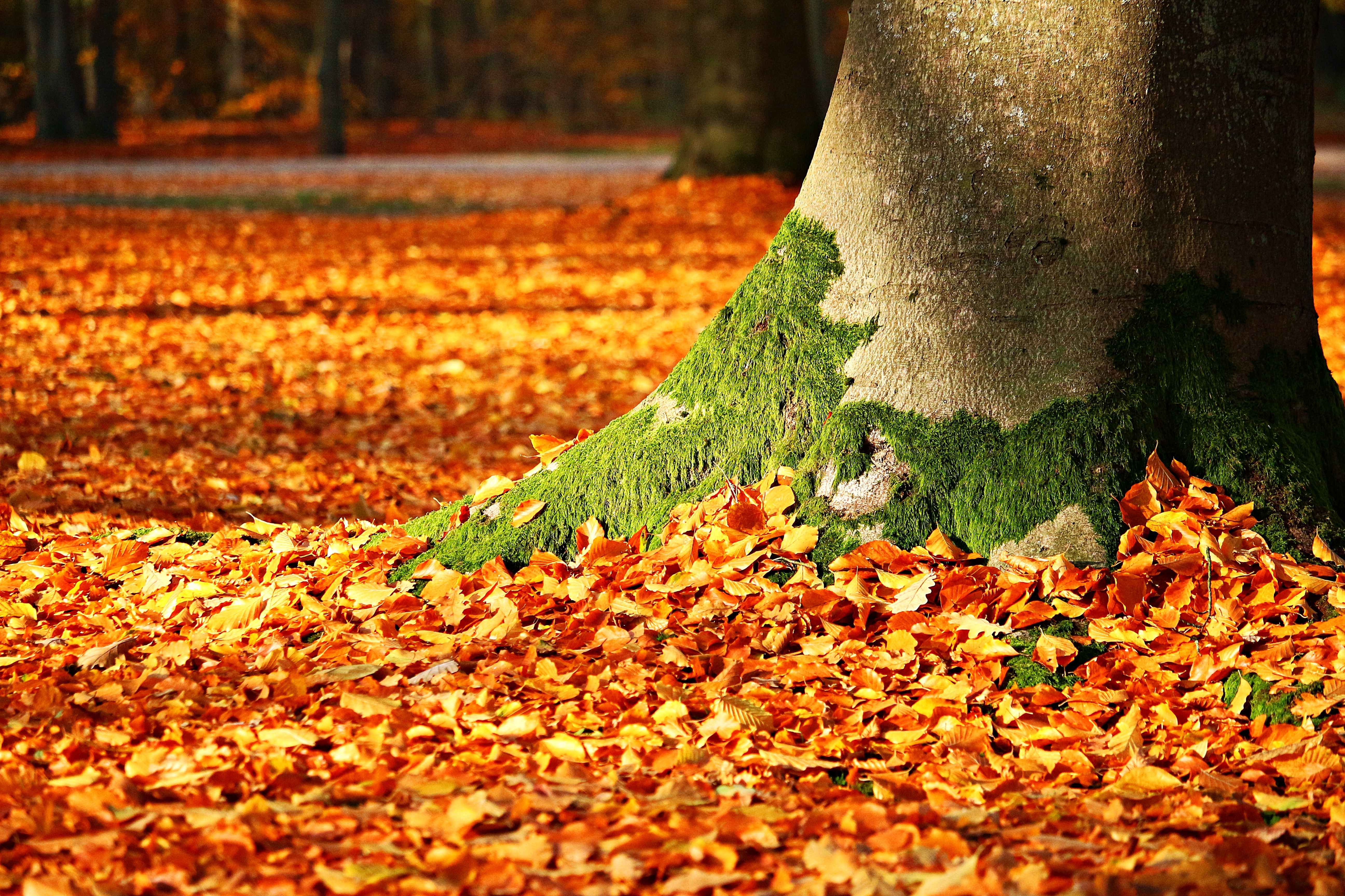 Natur & Gemeinschaft